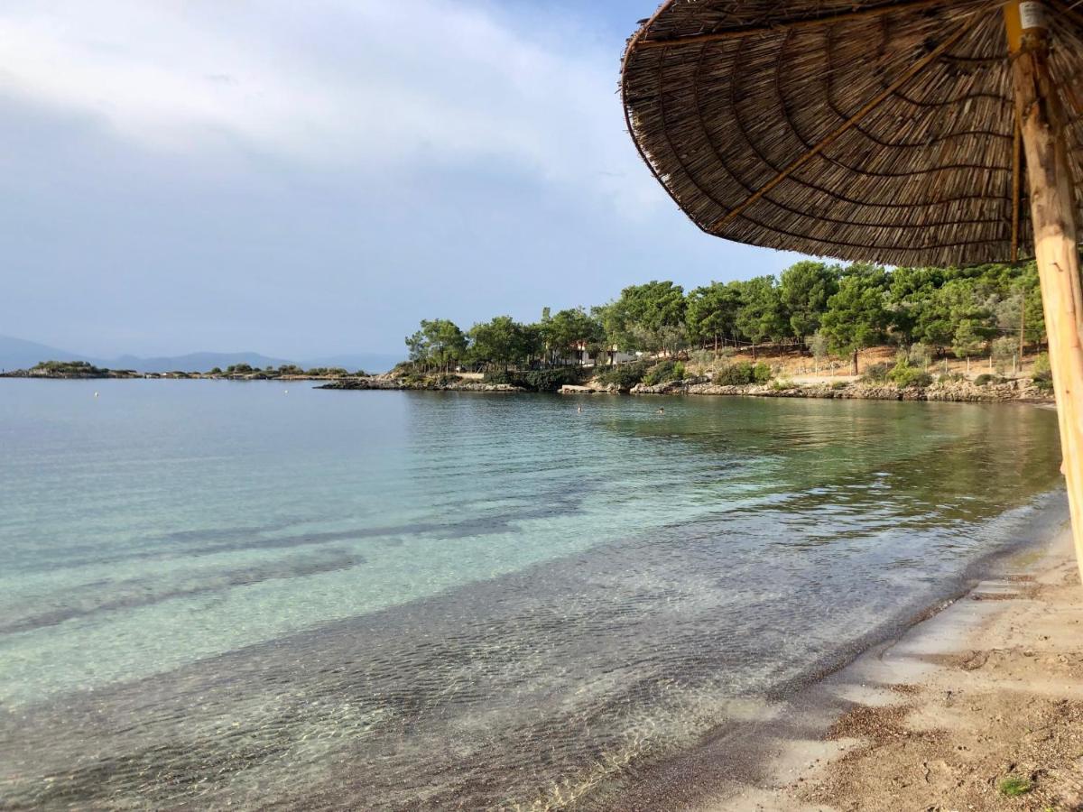 Alexander'S Villa Kritharia  ภายนอก รูปภาพ