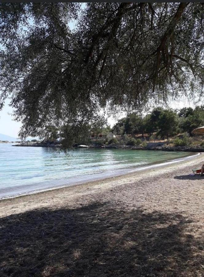 Alexander'S Villa Kritharia  ภายนอก รูปภาพ